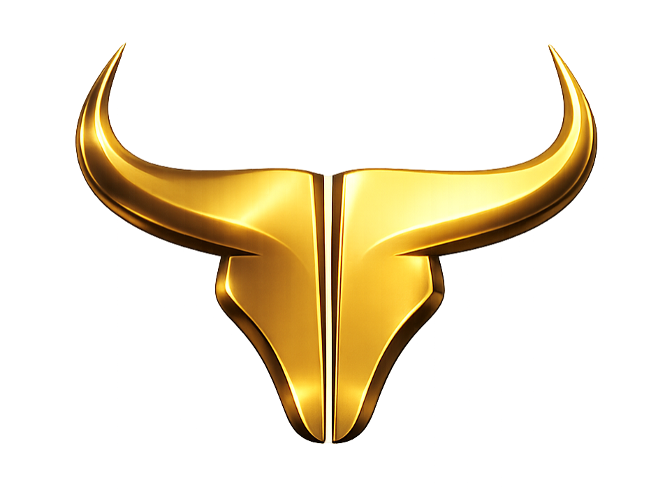 Casa Bulls Real Estate LLC